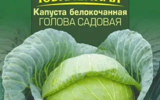 ГОЛОВА САДОВАЯ