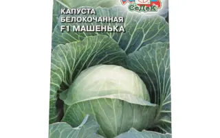 МАШЕНЬКА