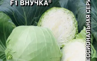 ВНУЧКА