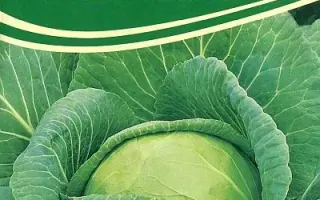 СЕМКО ЮБИЛЕЙНЫЙ 217