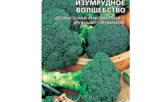 ИЗУМРУДНОЕ ВОЛШЕБСТВО