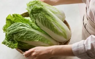 ЕЛИЗАВЕТА МАЛАХОВА