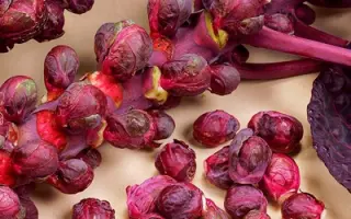 ГРАНАТОВЫЙ БРАСЛЕТ