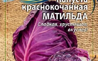 МАТИЛЬДА