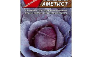 АМЕТИСТ