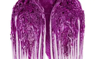 КРАСНЫЙ ДРАКОН