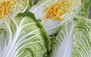 ОРАНЖЕВОЕ СЕРДЦЕ