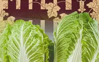 МАЛЕНЬКОЕ ЧУДО