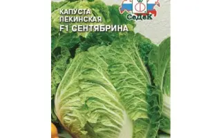 СЕНТЯБРИНА