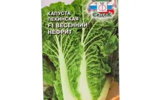 ВЕСЕННИЙ НЕФРИТ