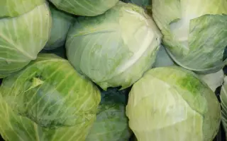 ОТЕЧЕСТВЕННАЯ