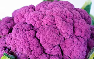 МЕЧТА ОГОРОДНИКА