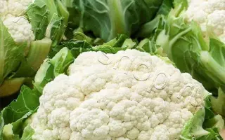 КОЗА-ДЕРЕЗА