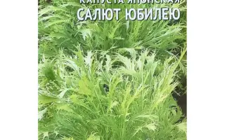 САЛЮТ ЮБИЛЕЮ