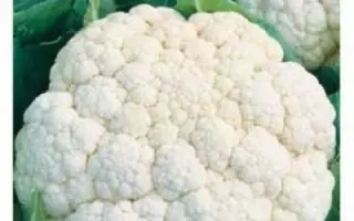 МАРВЕЛ 4 СЕАЗОНС