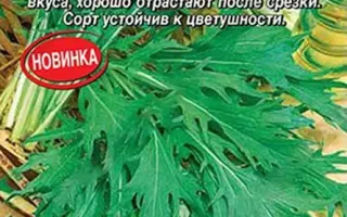 ИЗУМРУДНЫЙ УЗОР