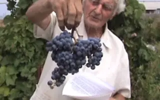 СИБИРЯК ПОТАПЕНКО