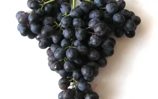 ЮЖНОБЕРЕЖНЫЙ