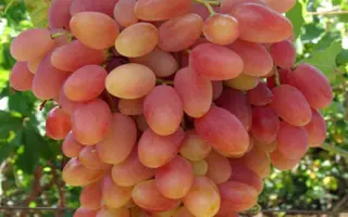 ПРЕОБРАЖЕНИЕ