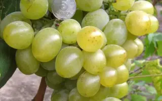 ПАМЯТИ КОСТРИКИНА