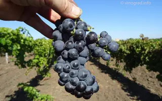 ЛЕВОКУМСКИЙ