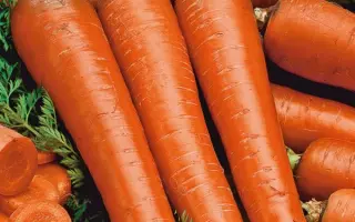 ЛОСИНООСТРОВСКАЯ 13