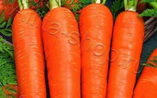 ВИТАМИННАЯ 6