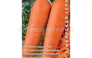 КУПЕЦ