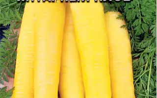 ЯНТАРНЫЙ ПЛОВ