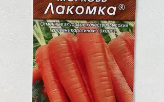 ВОРОНЕЖСКАЯ ЛАКОМКА