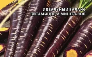 МАРМЕЛАД ФИОЛЕТОВЫЙ