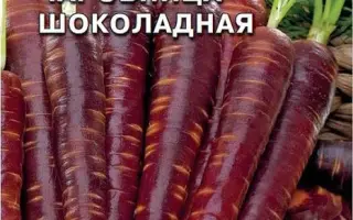 ЧАРОВНИЦА ШОКОЛАДНАЯ