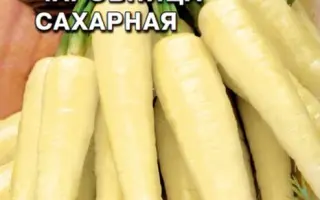 ЧАРОВНИЦА САХАРНАЯ