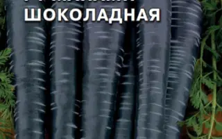 МАЙАМИ ШОКОЛАДНАЯ