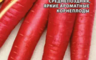 КАРАМЕЛЬ МАЛИНОВАЯ