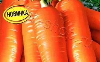 ОРАНЖЕВАЯ ЗВЕЗДА