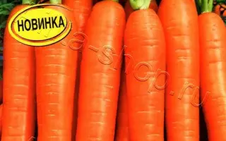 СЛАДКАЯ ПОМАДКА