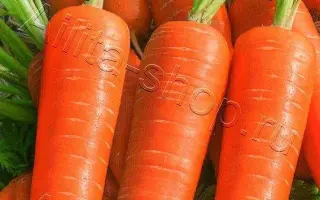 МАРМЕЛАДКА