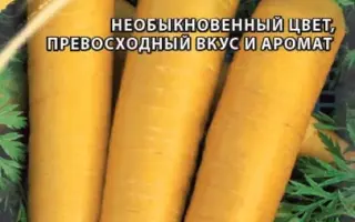 КАРАМЕЛЬ ЖЕЛТАЯ