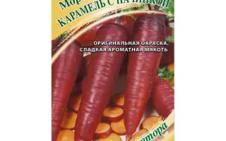 КАРАМЕЛЬ С НАЧИНКОЙ