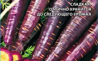 ФИОЛЕТОВАЯ КОРОЛЕВА