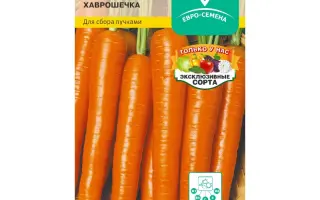 ХАВРОШЕЧКА