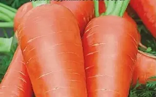 СМАКОВНИЦА