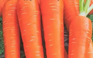 ДЕТСКИЙ ЗАВТРАК