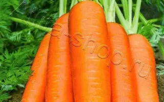 ДЕТКА-КОНФЕТКА