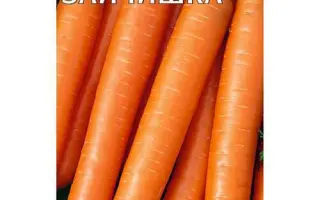 ХРУСТИШКА-ЗАЙЧИШКА