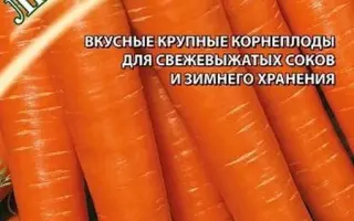 ЛИСИЧКА-СЕСТРИЧКА