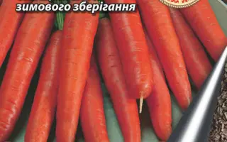 ВКУСНЯШКА