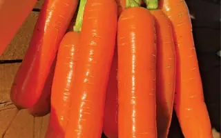 РАННЯЯ ТСХА