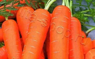 ВКУС ДЕТСТВА